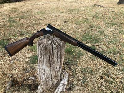 Gun Image 2