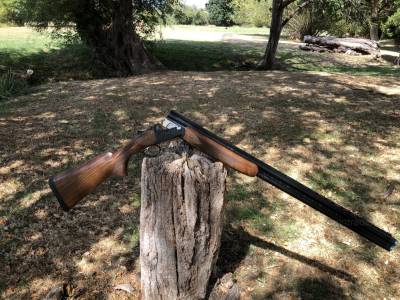 Gun Image 3