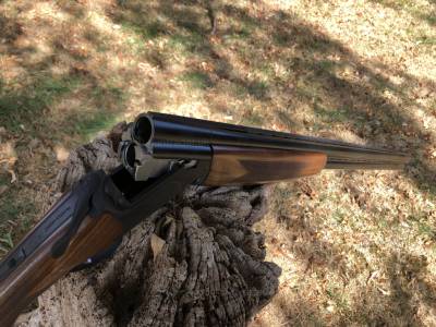 Gun Image 2