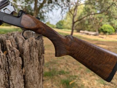 Gun Image 3