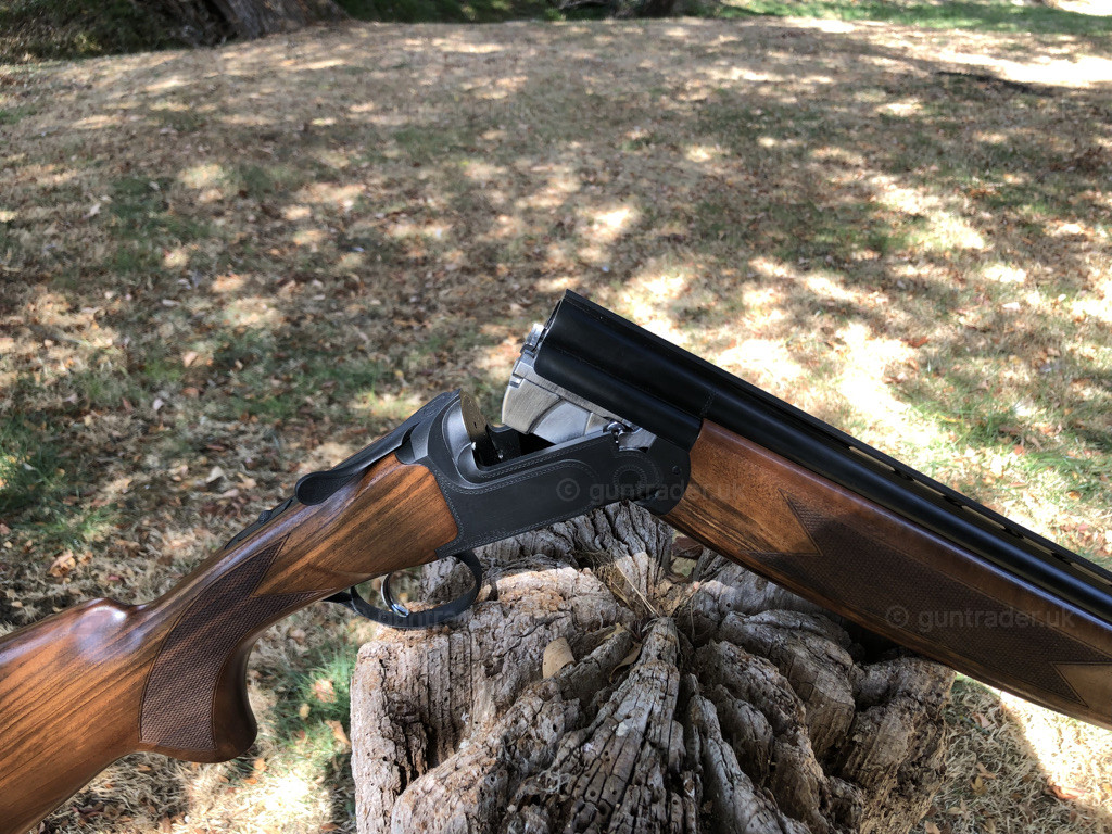 Photo of this gun