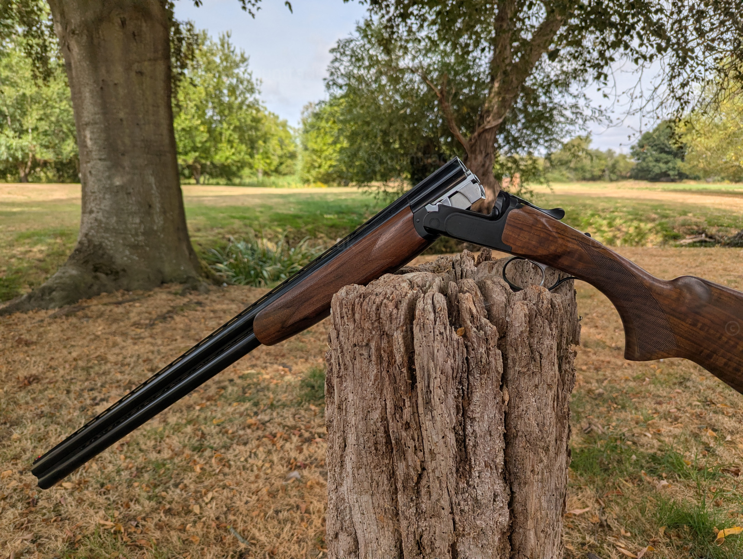 Photo of this gun