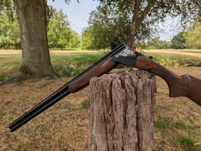 Gun Image 4