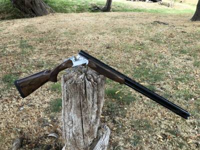 Gun Image 3