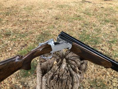 Gun Image 1