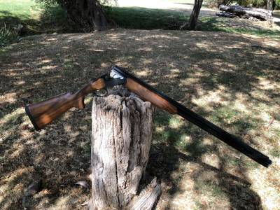 Gun Image 2