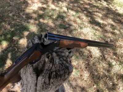Gun Image 3
