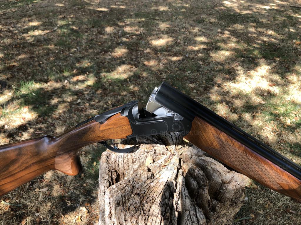 Photo of this gun