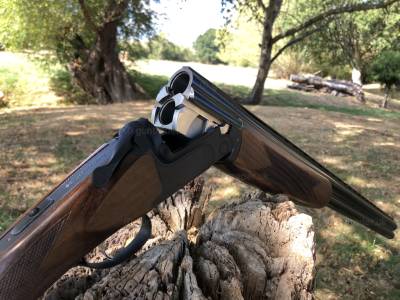 Gun Image 2