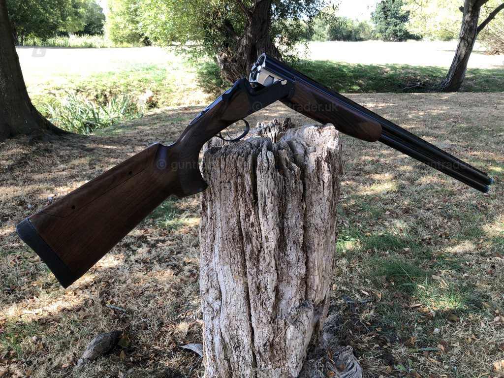 Photo of this gun