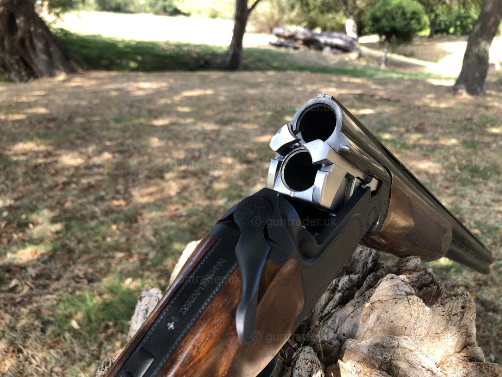 Photo of this gun
