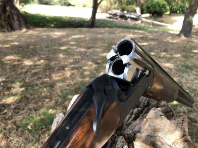Gun Image 2
