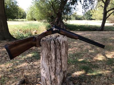 Gun Image 1
