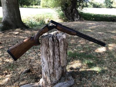 Gun Image 2