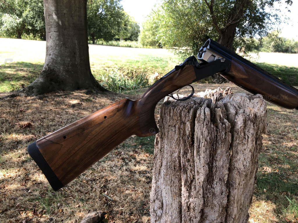 Photo of this gun