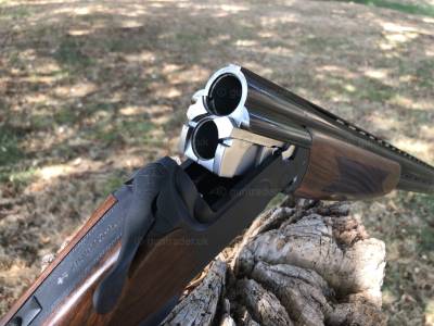 Gun Image 1