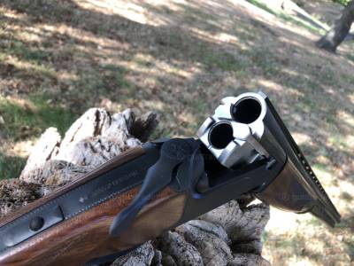 Gun Image 1