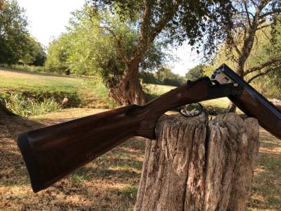 Gun Image 3