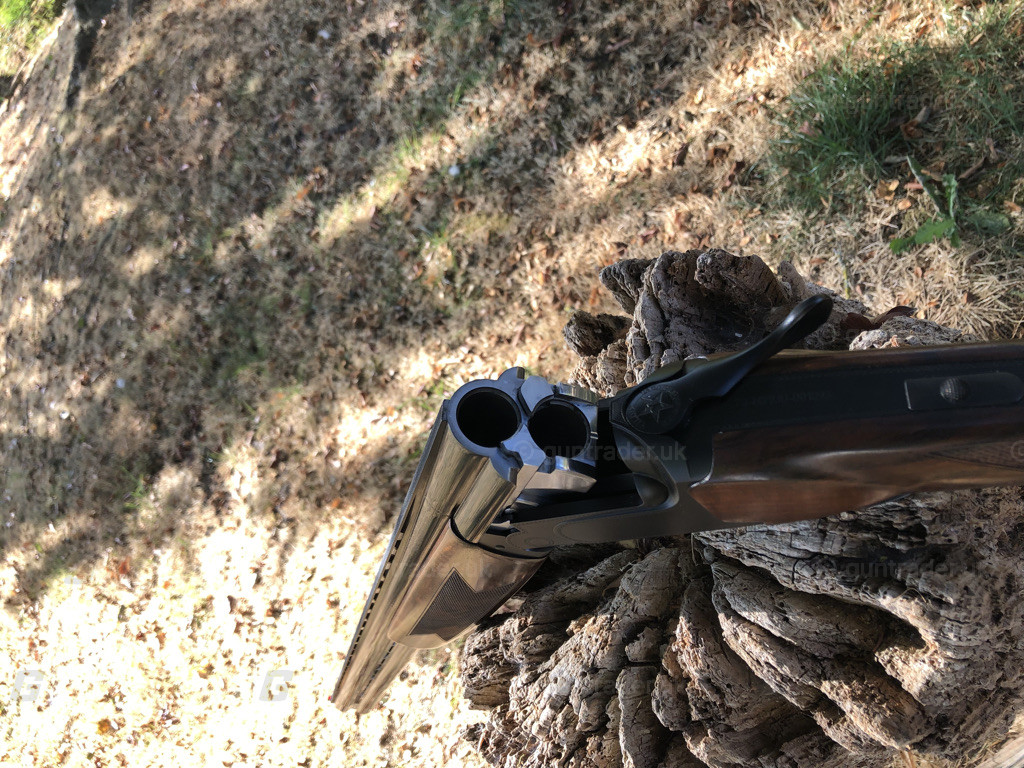 Photo of this gun