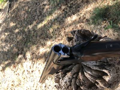 Gun Image 1