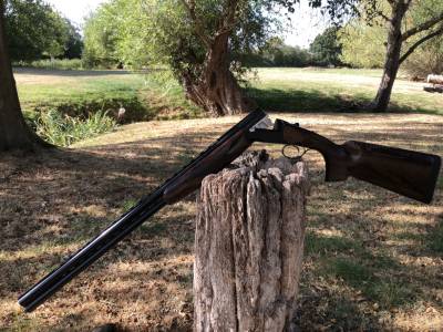 Gun Image 2