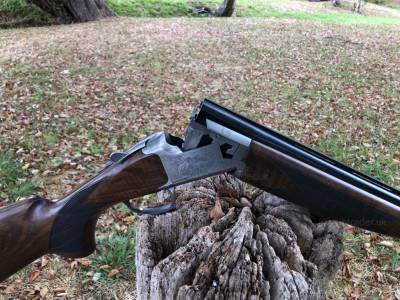 Gun Image 1