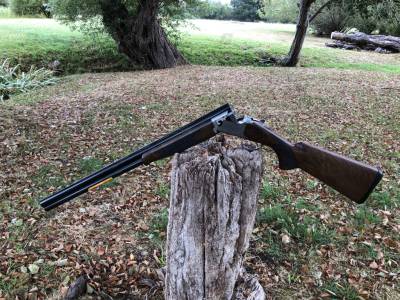 Gun Image 3