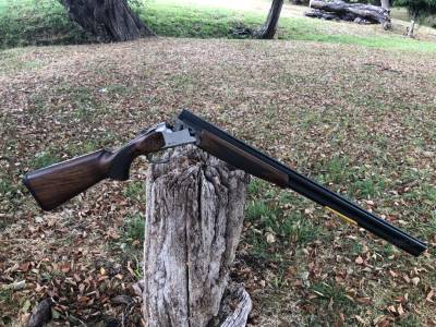 Gun Image 2