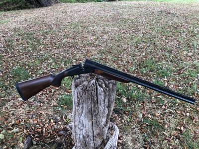 Gun Image 3
