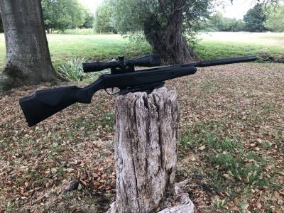 Gun Image 3