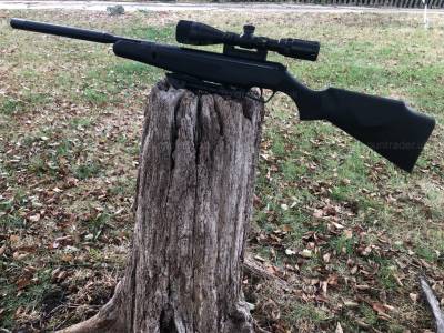 Gun Image 2