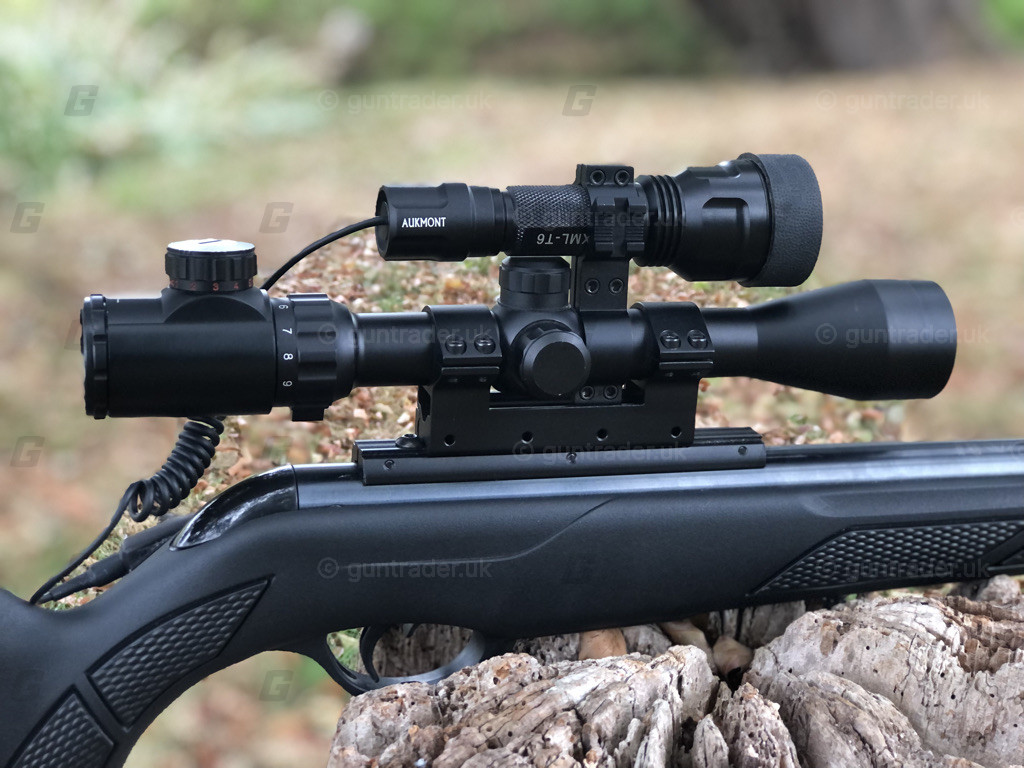 Photo of this gun