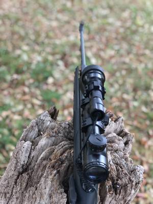 Gun Image 2