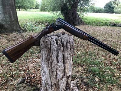 Gun Image 3