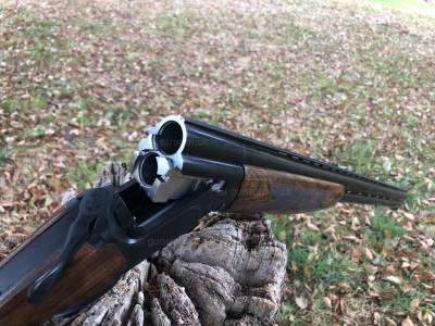 Gun Image 2