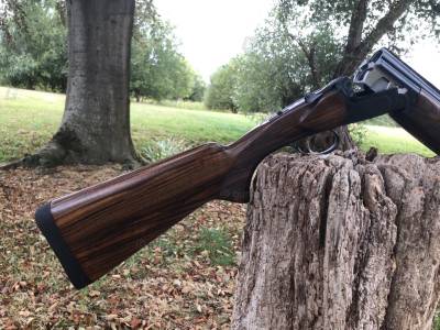 Gun Image 1