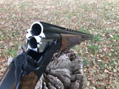 Gun Image 3