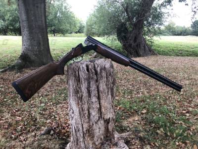 Gun Image 2