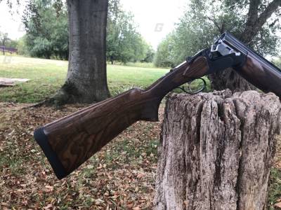 Gun Image 1