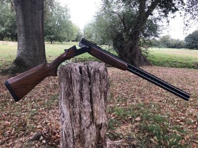 Gun Image 3