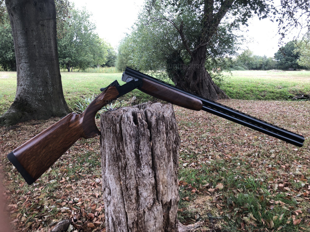 Photo of this gun