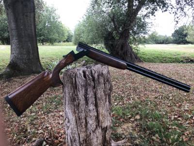 Gun Image 1