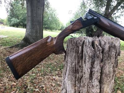 Gun Image 2