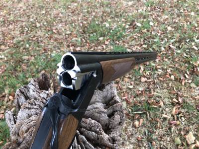 Gun Image 1