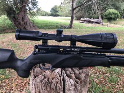 Gun Image 1