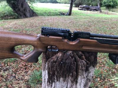 Gun Image 2