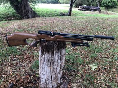 Gun Image 3