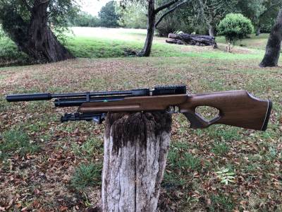 Gun Image 4