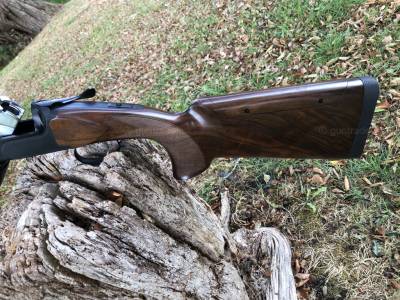 Gun Image 2