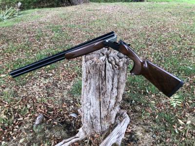 Gun Image 1